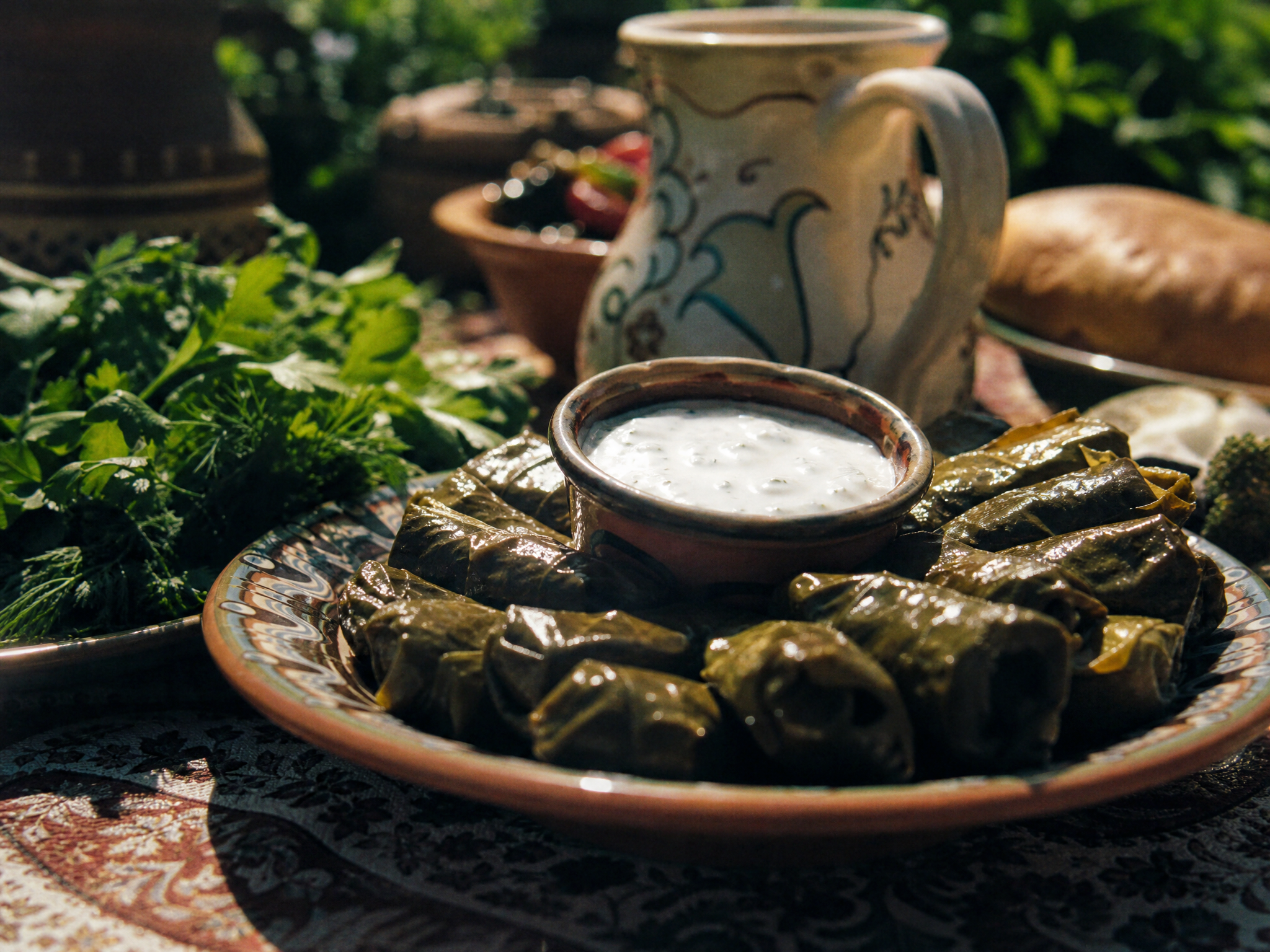 Vine leaf dolma with yoghurt